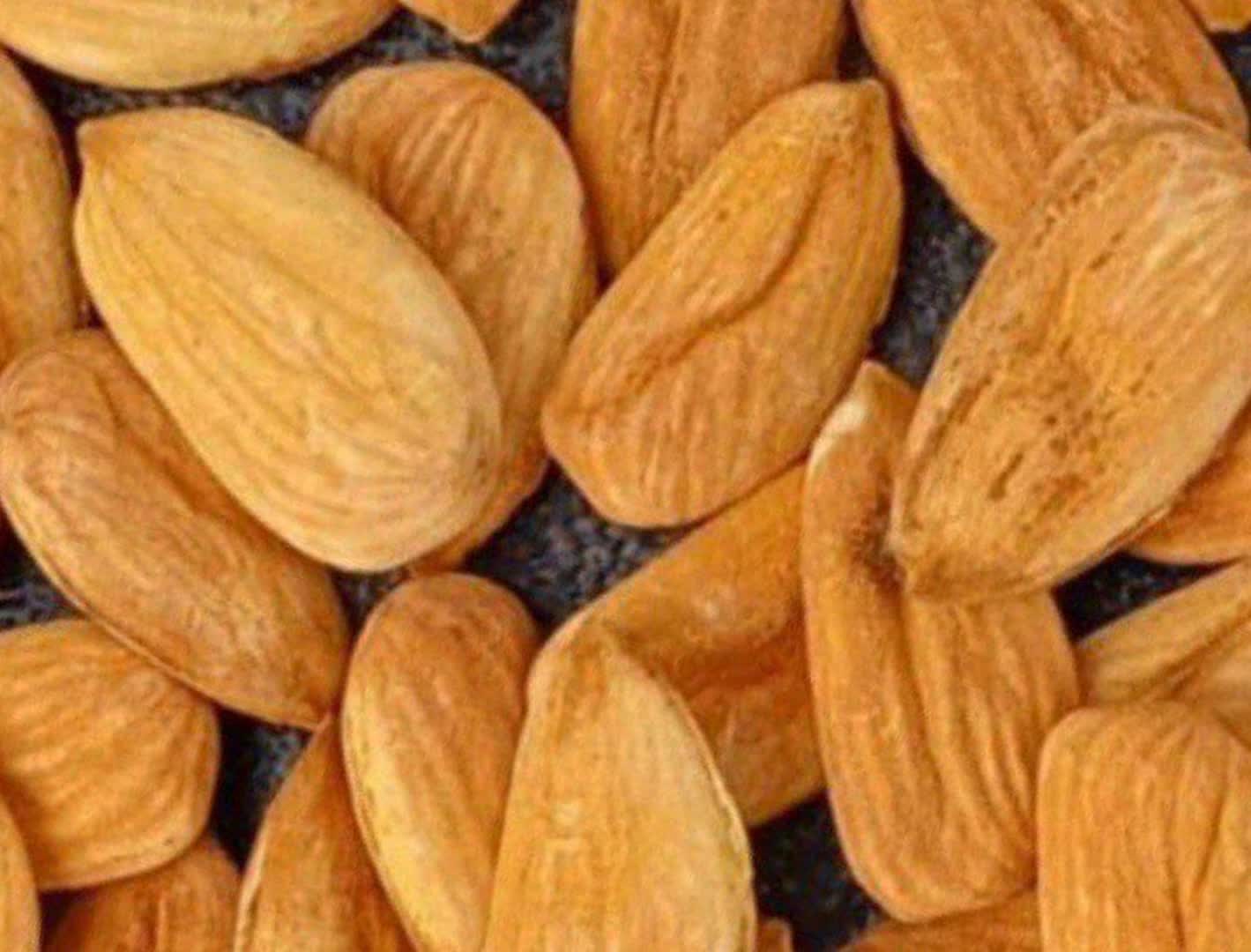 تصویر 1 از خرید و قیمت مغز بادام شاهرودی درشت